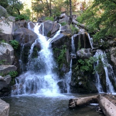 Анжела Яновская, 17.07.1985, Москва