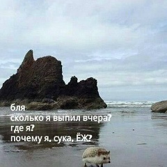 Chack Berry, 09.06, Караганда