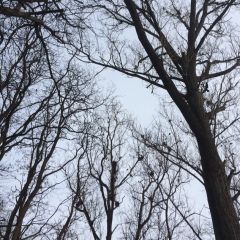 Лера Петрова, 25.09.2000, Киев