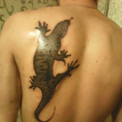 Асылхан Дуйсенбеков, 30.05, Тараз