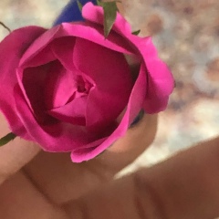 Aigerim Temirgalieva, 28.08, Актобе