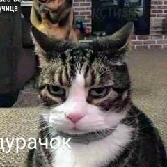 Шораан Юша, Кызыл