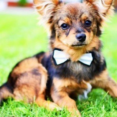 Роман Пукас, 09.05