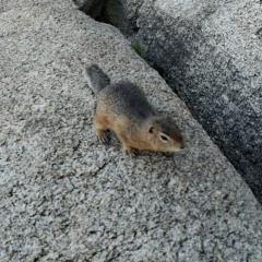 Михаил Сологубов, 28.06, Усть-Каменогорск