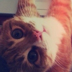 Сергей Сидоров, 17.07.1986, Москва