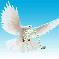 Khant Pyi, 28.05.1993, Yangon