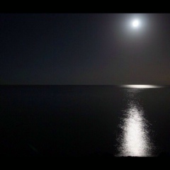 Joe Black, 21.03.1987, Москва