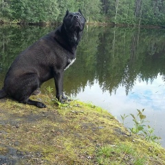 Татьяна Пругер, 11.06.1979, Апатиты