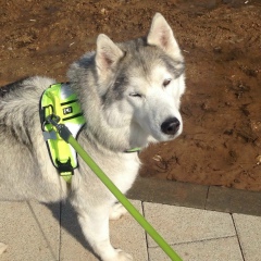 Elizabeth Brezhneva, 05.09.1988, Москва