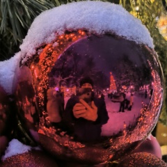 Василь Ильющенков, Химки