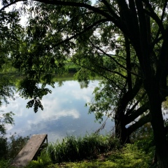 Витусичка Яворская, 20.12, Мироновка