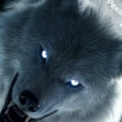 Дмитрий Камбур, Москва