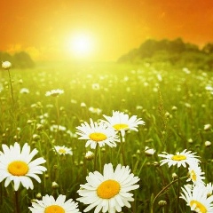 Елена Цепелева, Йошкар-Ола