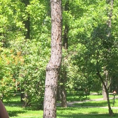 Анна Быстрова, 26.02, Алматы