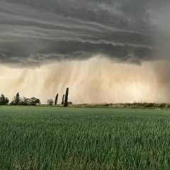 Rahim Sharov, Алматы