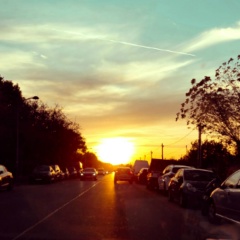 Увайс Мусаев, 09.03, Wien