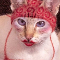 Александра Трачева, 05.10, Санкт-Петербург