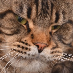 Майя Калиновская, 25.04, Киев