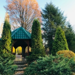 Елена Гущина, Москва