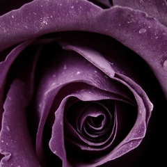 Анар Ермекова, 15.07.1988, Жанаозен