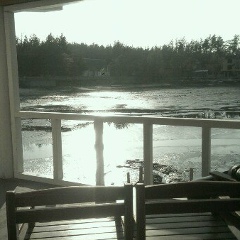 Александр Цапкин, 02.07.1988, Харьков