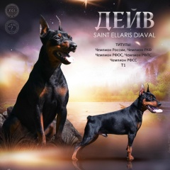 Галина Марченко, 30.08.1974, Кингисепп