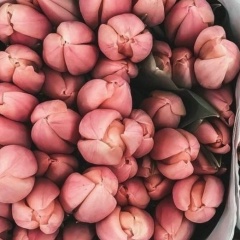 Balzhan Ismagulova, 16.11.1995, Алматы