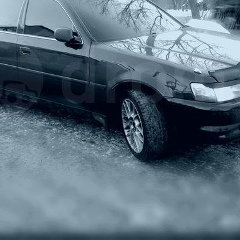 Nikita L, Калининград