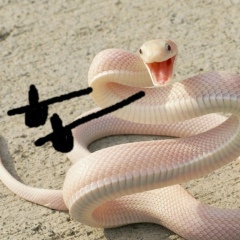 Василий Бочкарев, 17.02.1991, Якутск