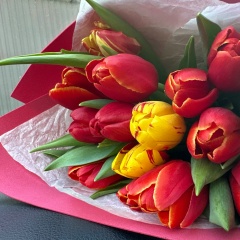 Любовь Орлова, 27.07.1978