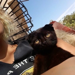 Алёнка Шварёва, 18.05.1986