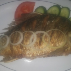 Заир Дилаваров