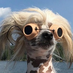 Оксана Оксана, 16.06.1987, Москва