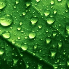 Екатерина Ткачева, 23.03