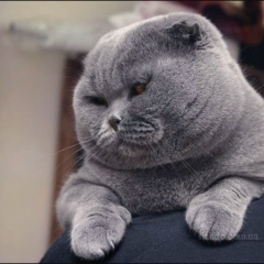 Ольга Максимова, 18.01.1987, Улан-Удэ