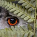 Алина Мухамадеева