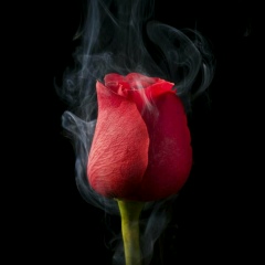 Абзал Есетов, 27.11, Алматы