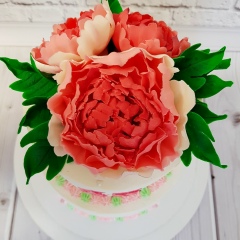 Мила , 21.06, Озерск