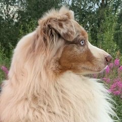 Виктор Дмитриевич, 06.09, Мурманск