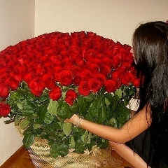 Ирода Мамадалиева, Санкт-Петербург