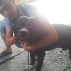 Григорий Трёхин, 26.10.1988, Атырау