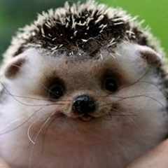 Алевтина , 07.04.1979, Псков