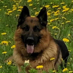 Надежда Баранчик, 12.07, Подольск