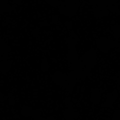 Дмитрий Романенко, Санкт-Петербург