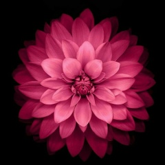 Талшын Тайланбаева, 27.10, Тараз