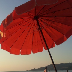 Роман Сорокин, 16.01.1985, Тюмень