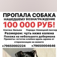 Ольга Гордиевских, 08.08, Санкт-Петербург