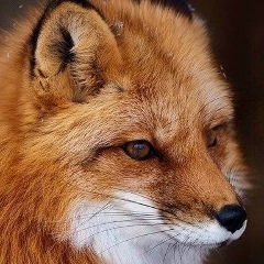 Наталья Лякс, 18.07.1986, Москва