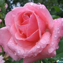 Гульназ Салимзянова, 07.01, Набережные Челны