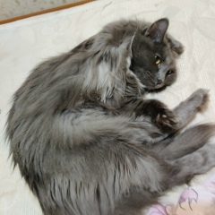 Жандос Елшибеков, 28.04, Астана